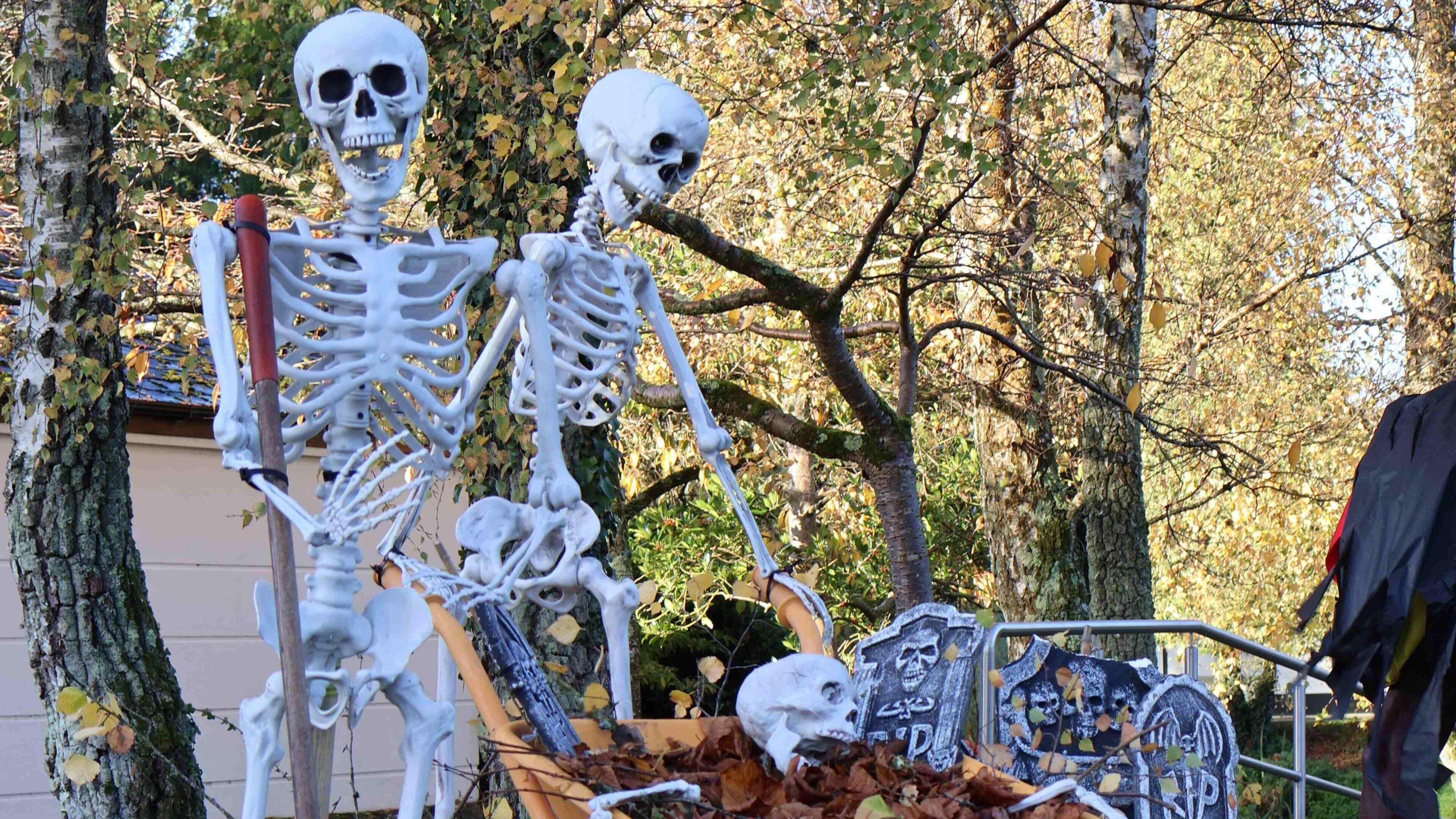 Halloween events in Kildare 2026: Your spooky season, midterm and bank holiday guide